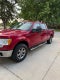 2010 Ford F-150 XL