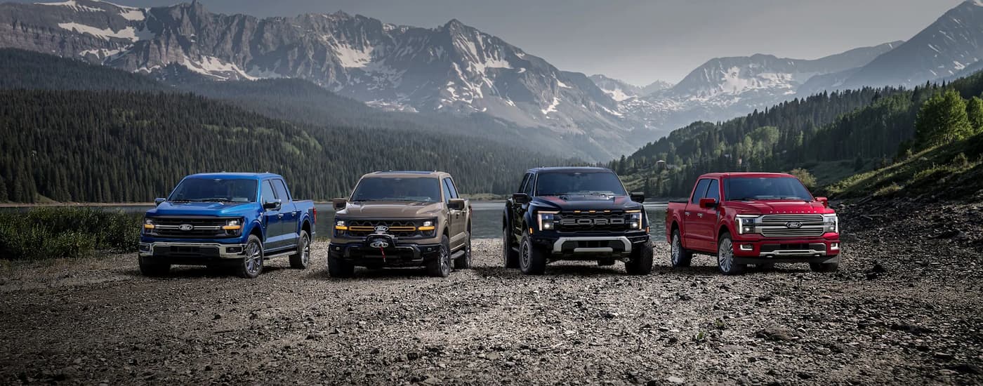 Four 2025 Ford F-150's parked on gravel on a mountain view